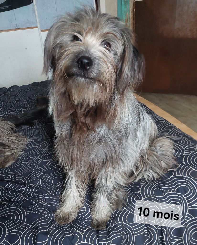 Vanille du vieux chêne de Fonsablouse