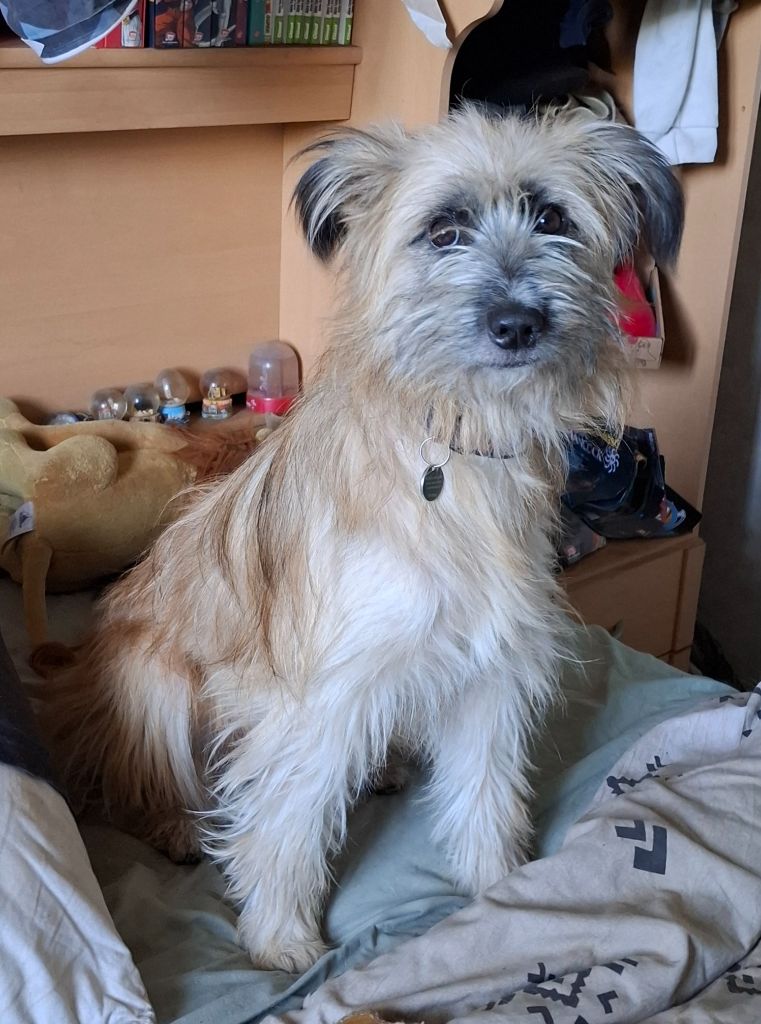 Viana de la vallée d'oueil