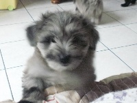 JOTA